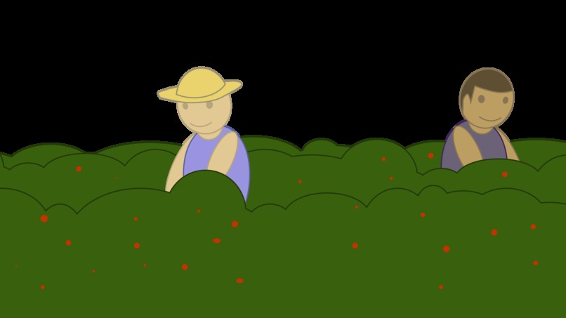 1_003_arbeiterinnenverteilung_job-charta – screenshot 6