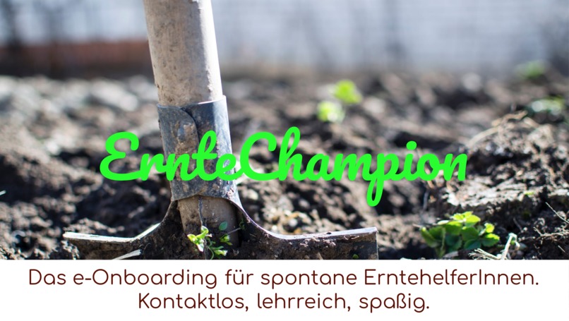 0003_ArbeiterInnenverteilung_ErnteChampion – screenshot 1