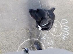 34_Nachbarschaftshilfe_Sozial-Digitales Starter Kit – screenshot 6