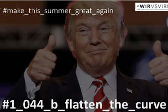 #1_044_b_flatten-the-curve+#make_this_summer_great_again