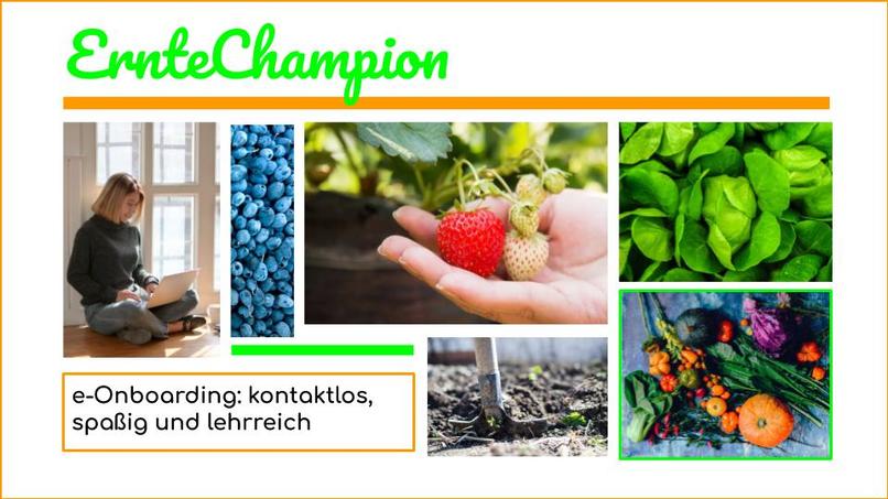 0003_ArbeiterInnenverteilung_ErnteChampion – screenshot 3