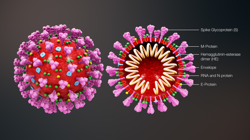 Corona virus trap / virus detector – screenshot 1