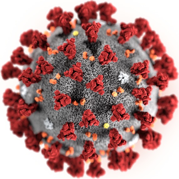 Corona virus trap / virus detector – screenshot 2