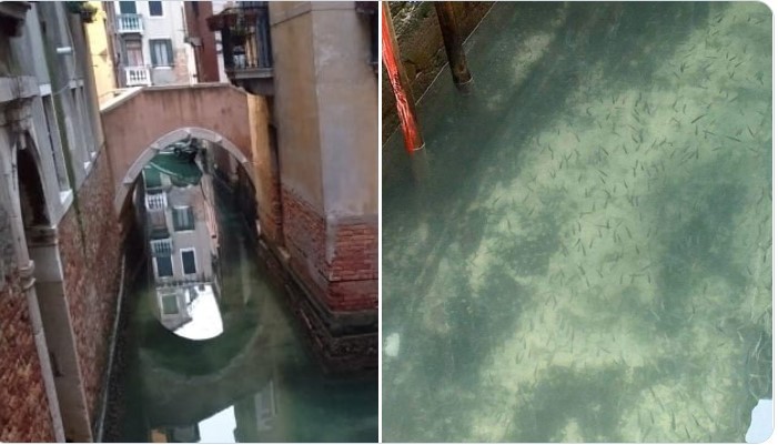 1_35_GesellschaftlicheFragen_#WirVsKlimakatastrophe – screenshot 1