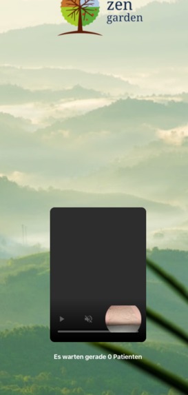 175_Zen_Garden – screenshot 6