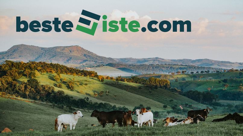 16_lokaleunternehmen_schnellebestellliste – screenshot 1