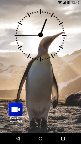 1_030_gefährdete_personen_EinfacherVideoChat – screenshot 1