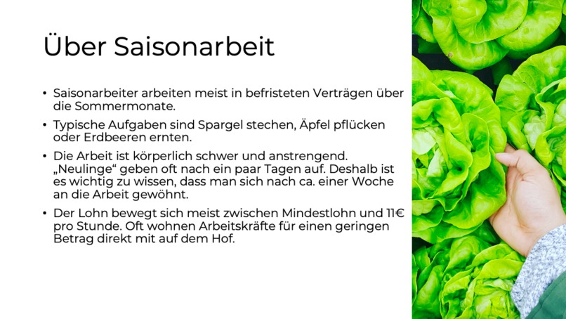 03_ArbeiterInnenverteilung_MyPlucky – screenshot 6