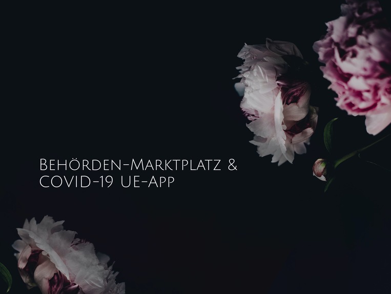 2020_Herausford_COVID19-UeberfuehrungsApp-BehördenMarktplatz – screenshot 1