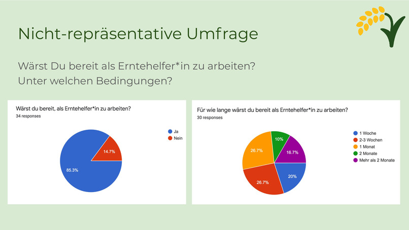 1_003_arbeiterinnenverteilung_COVID-19:HarvestScore – screenshot 7
