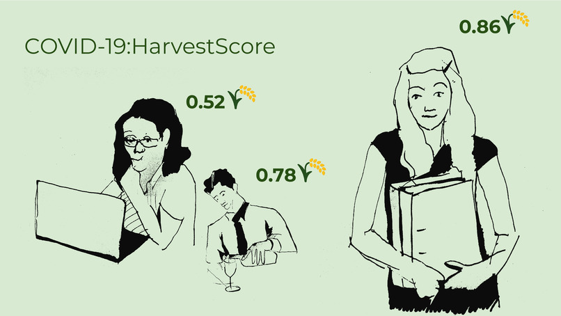 1_003_arbeiterinnenverteilung_COVID-19:HarvestScore – screenshot 8