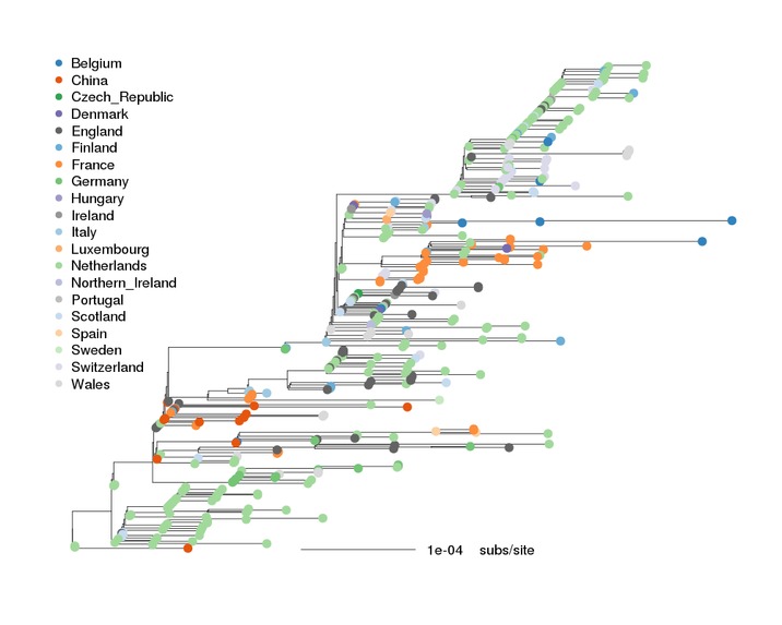 CoroNet – screenshot 2