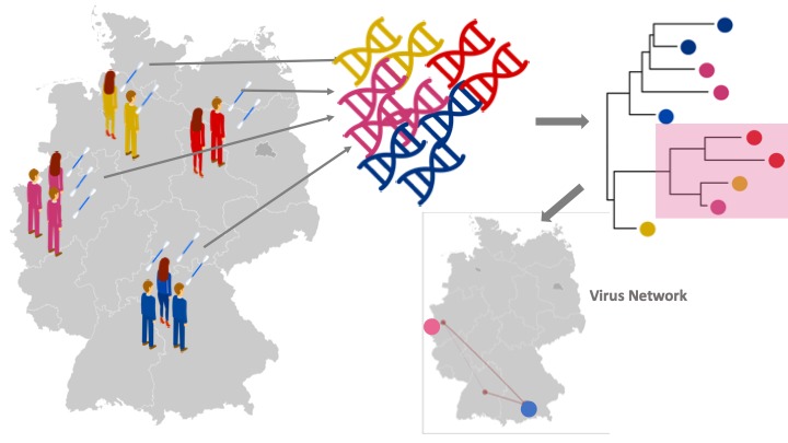 CoroNet – screenshot 3