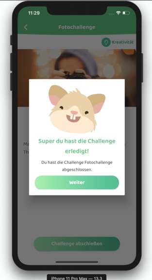 18_MentalHealth_HomeAloneChallenge – screenshot 15