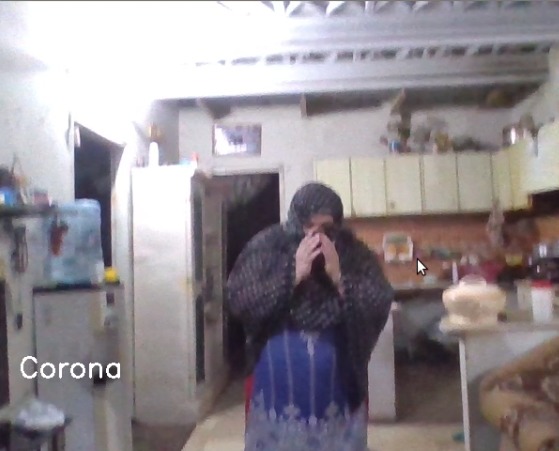 LIVE COVID Streamer and Alarming System – screenshot 2