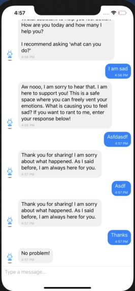 Tina the Quarantine Chatbot – screenshot 2