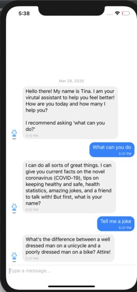 Tina the Quarantine Chatbot – screenshot 5