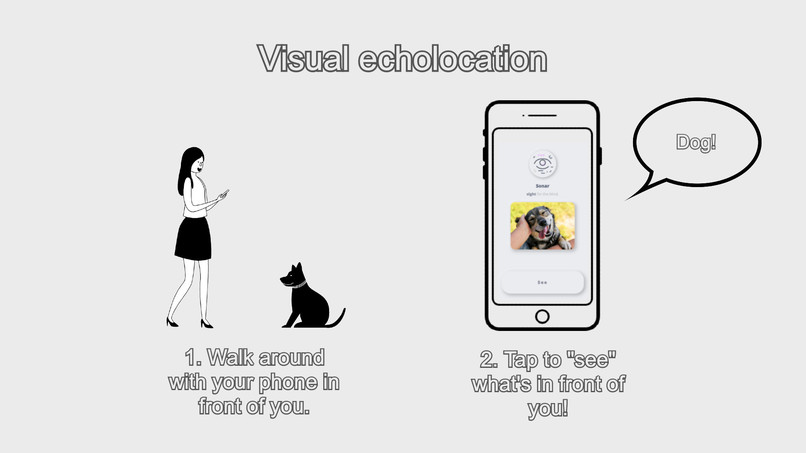 Sonar - Helping the Visually Impaired See – screenshot 2