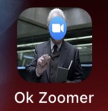 Ok Zoomer – screenshot 1