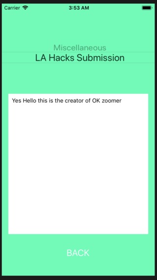 Ok Zoomer – screenshot 4