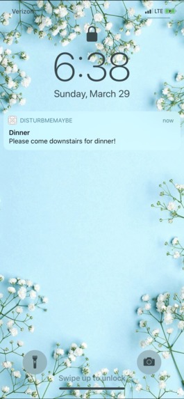 DisturbMeMaybe – screenshot 6