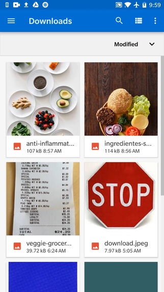 Ingredible – screenshot 9