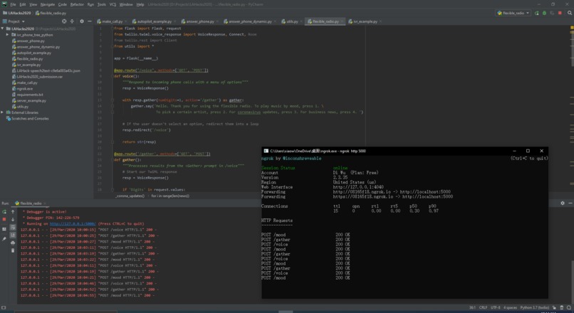 flexible-radio – screenshot 2