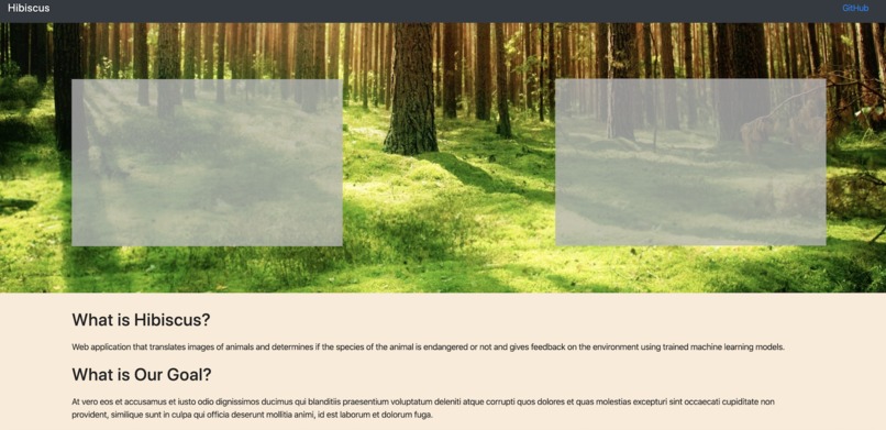 Hibiscus – screenshot 1