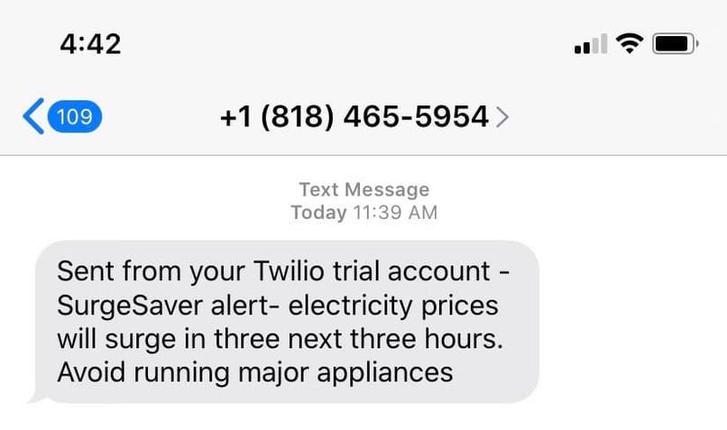 SurgeSaver – screenshot 3
