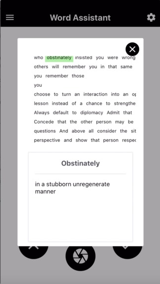 Word Assistant  – screenshot 5