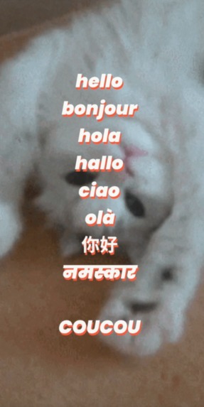 Coucou – screenshot 1
