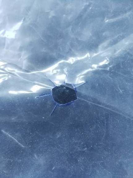 CPAP Bell- Dive Out of COVID – screenshot 4