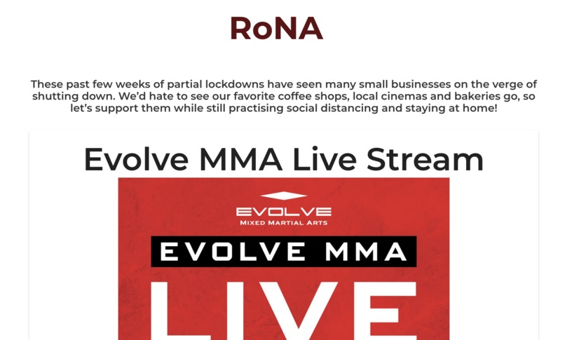 RoNA – screenshot 1