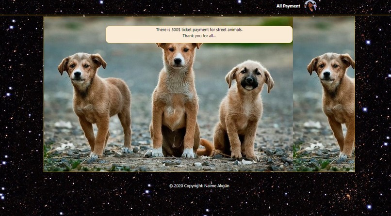 Live Home Concerts Platform For Street Animals – screenshot 3