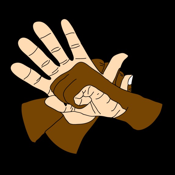 Covid-19 Statistics and Information in Sign Language – screenshot 1