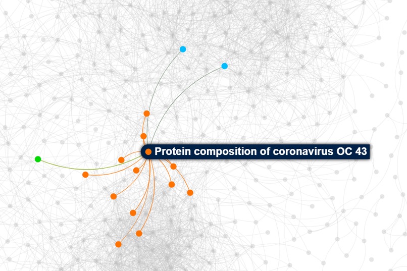 Browser-19 – screenshot 5