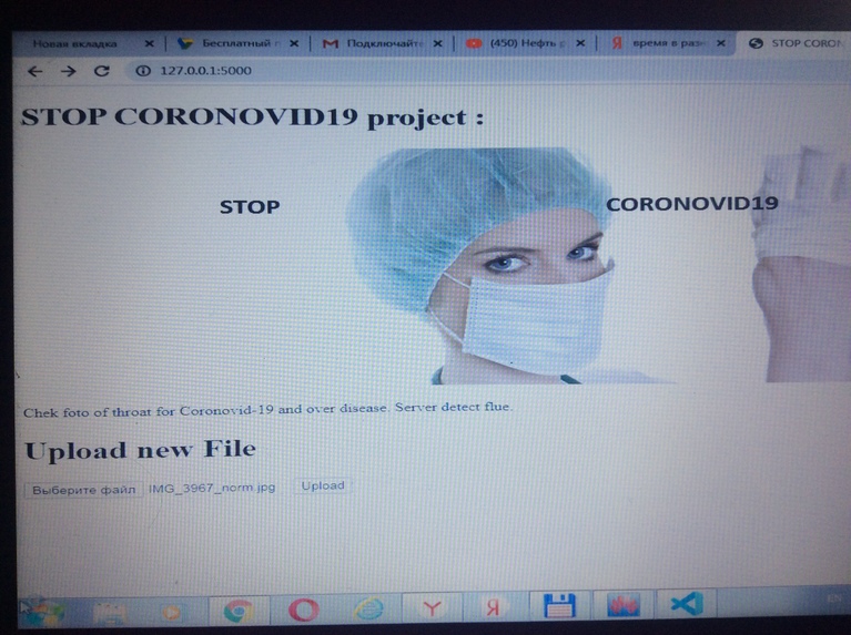 Covid19FlaskServer – screenshot 2