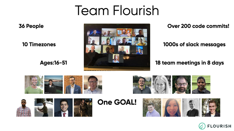 Flourish – screenshot 3