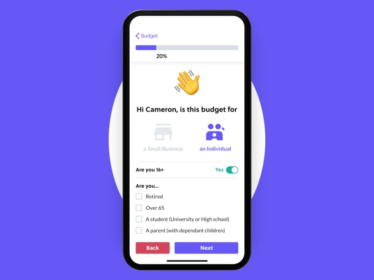 Crisis Budget – screenshot 5