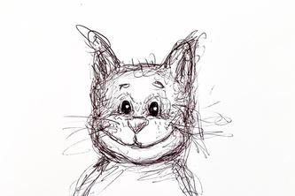 Covi the Curious Cat - a children's book on the quarantime