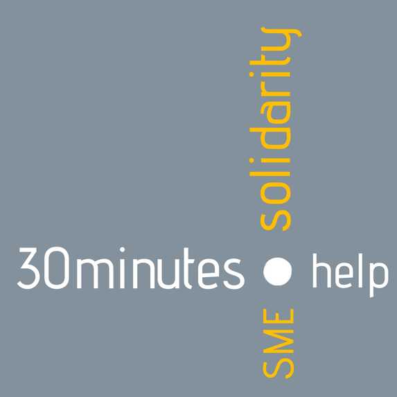 30minutes.help – screenshot 1