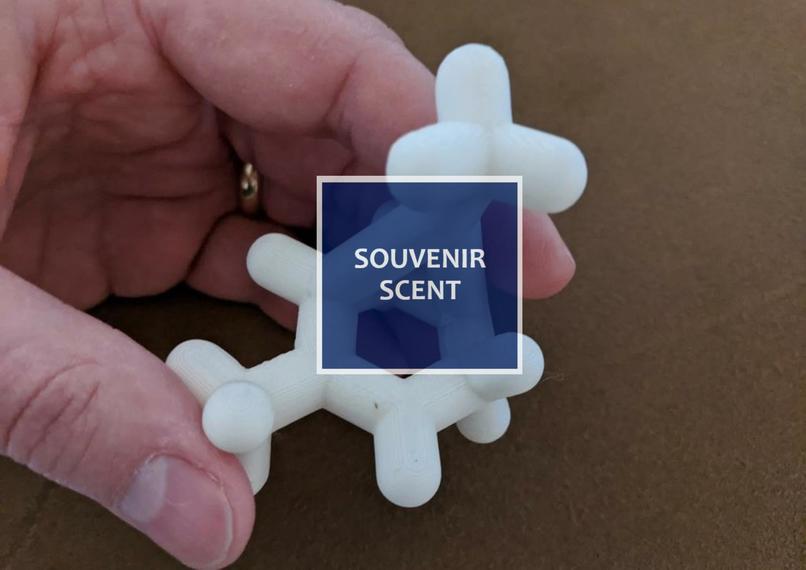Souvenir Scent – screenshot 1