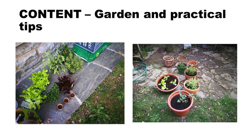 GO ON Project  – screenshot 11