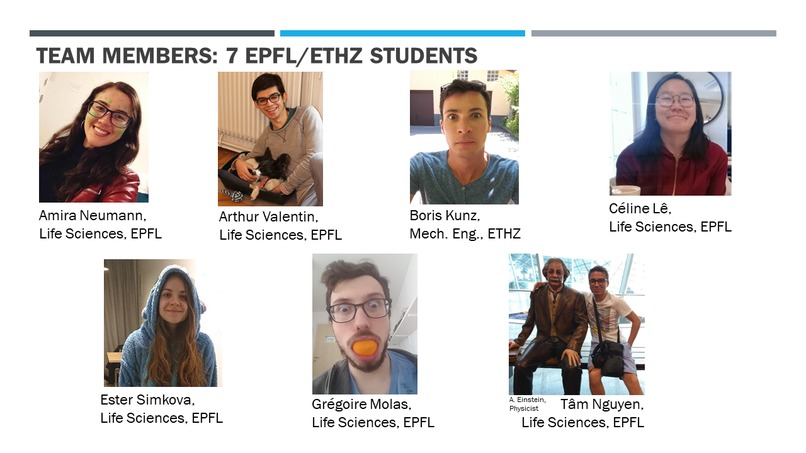 Hospital Resources Management Simulation – screenshot 2