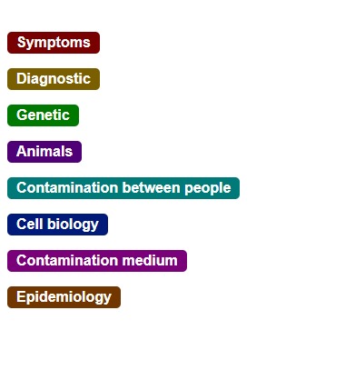 Browser-19 – screenshot 2