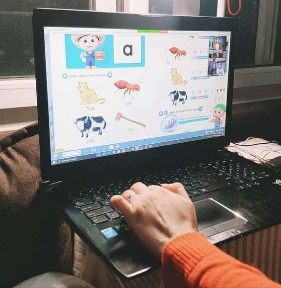 Bee LingoBridge Online education – screenshot 1