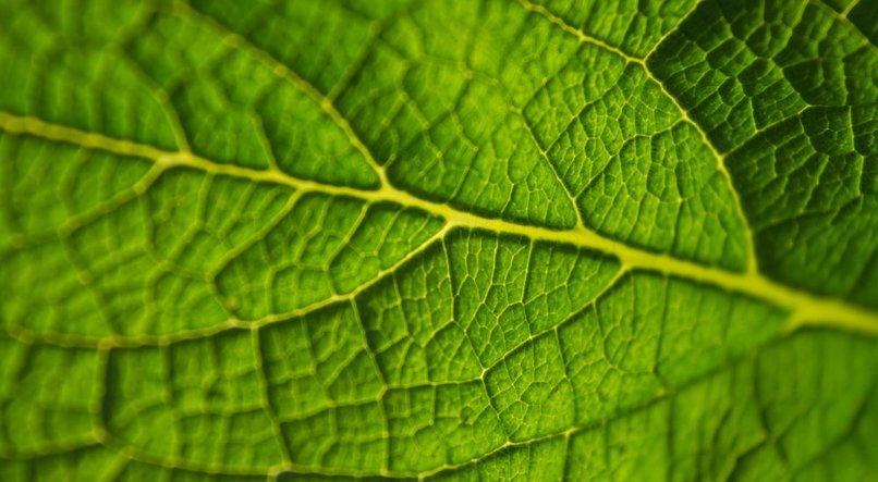 Reduce Air Pollution to fight COVID-19  – screenshot 1