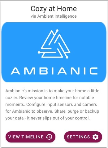 Remote Elderly Home Care via Privacy Preserving Surveillance – screenshot 4