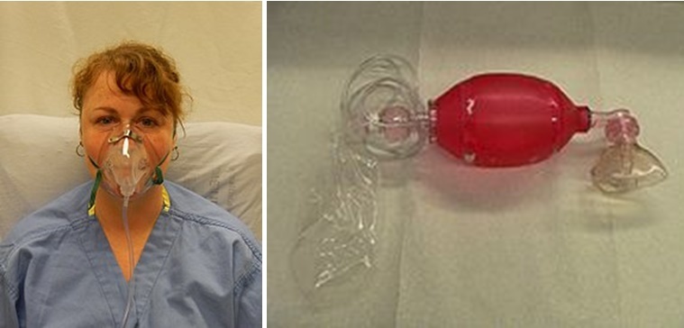 Projectocriar – screenshot 2