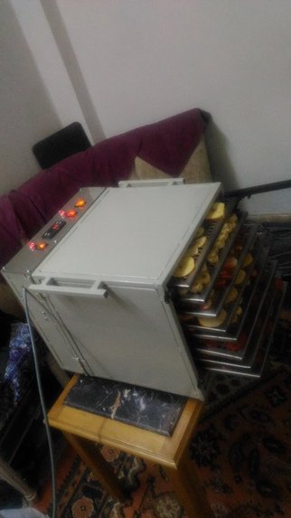 ECO food dehydrators – screenshot 2